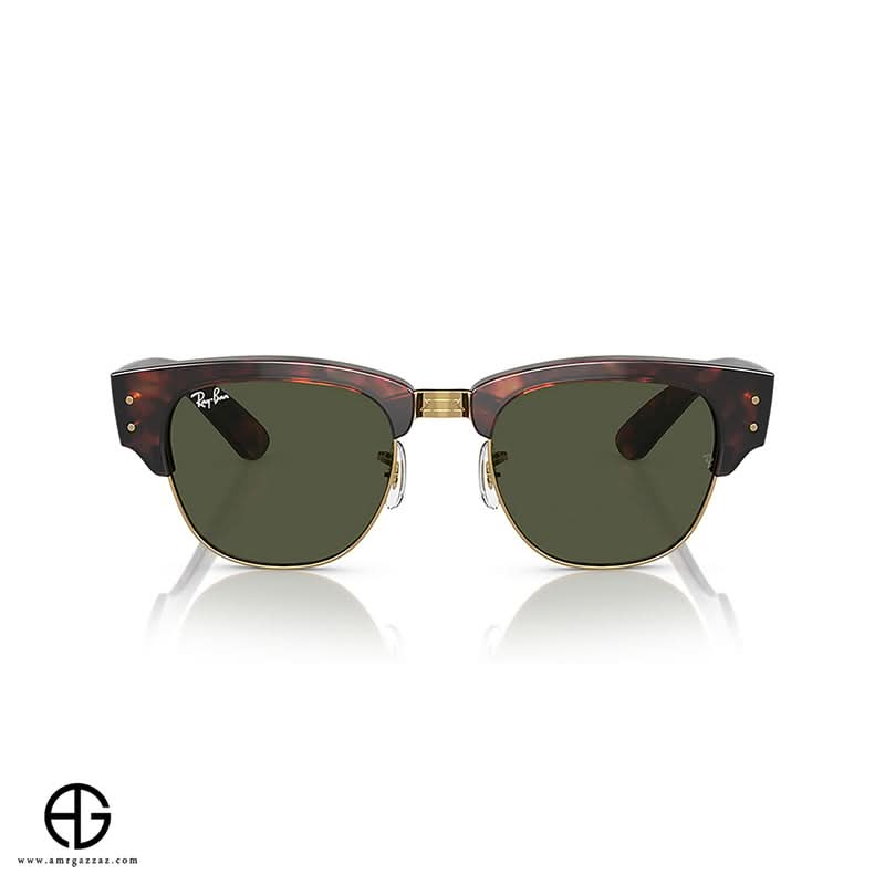 Sunglasses RAY BAN Everyday Elegance Unisex 343