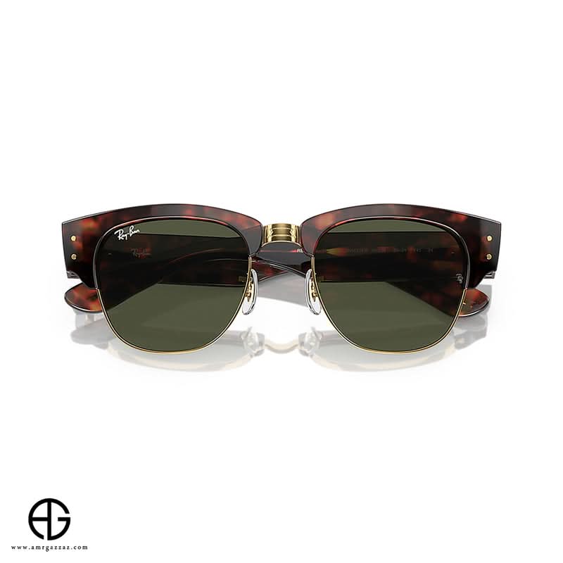 Sunglasses RAY BAN Everyday Elegance Unisex 343