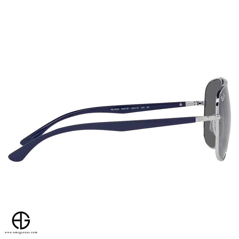 Sunglasses RAY BAN Timeless Appeal Unisex 344