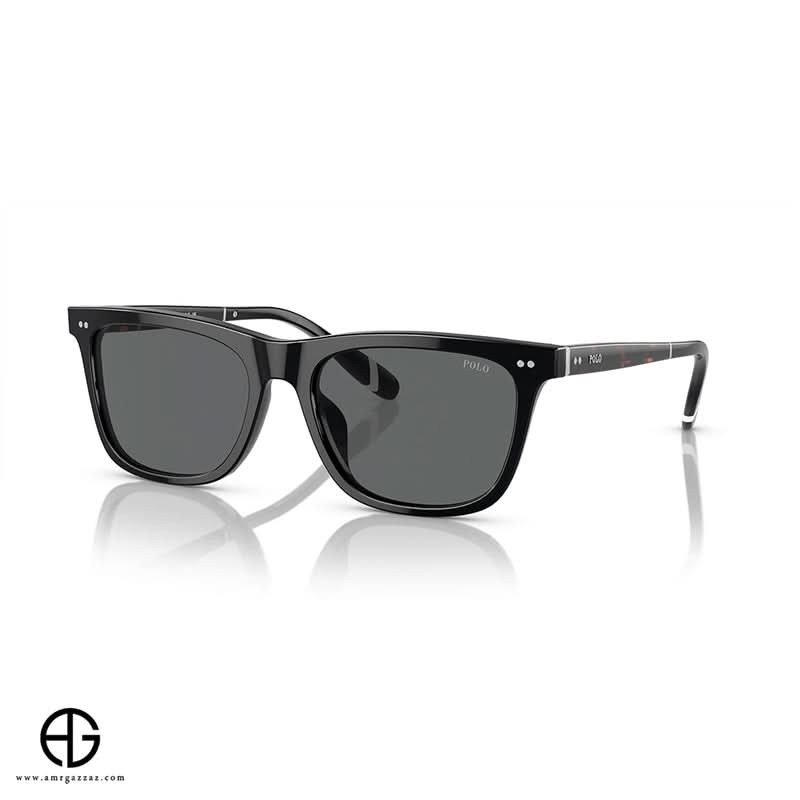 Sunglasses POLO Classic Charm Man 35