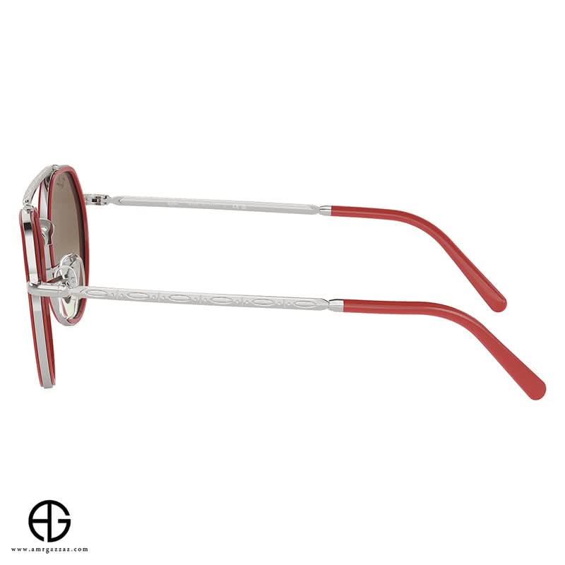 Sunglasses RAY BAN Timeless Appeal Unisex 398