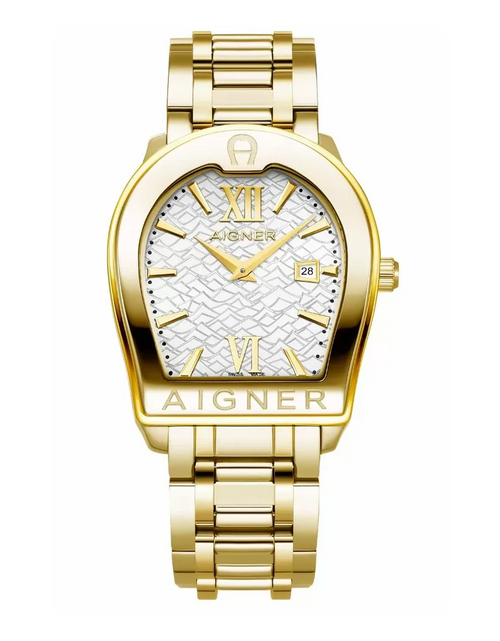 Load image into Gallery viewer, Aigner VERONA DUE men watch stainless steel gold
