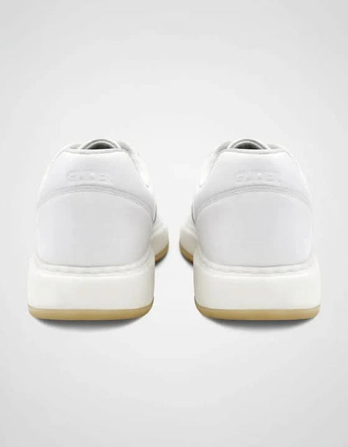 Load image into Gallery viewer, GLIDERS
