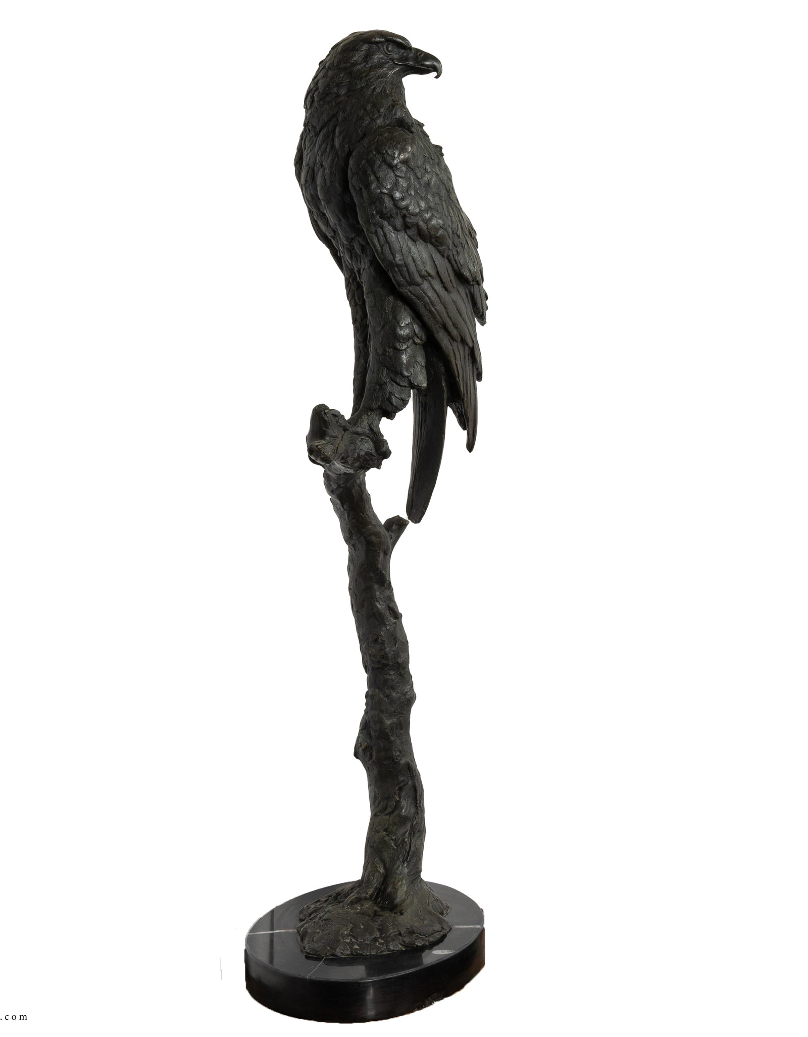 Falcon bronze on tree trunk Statue