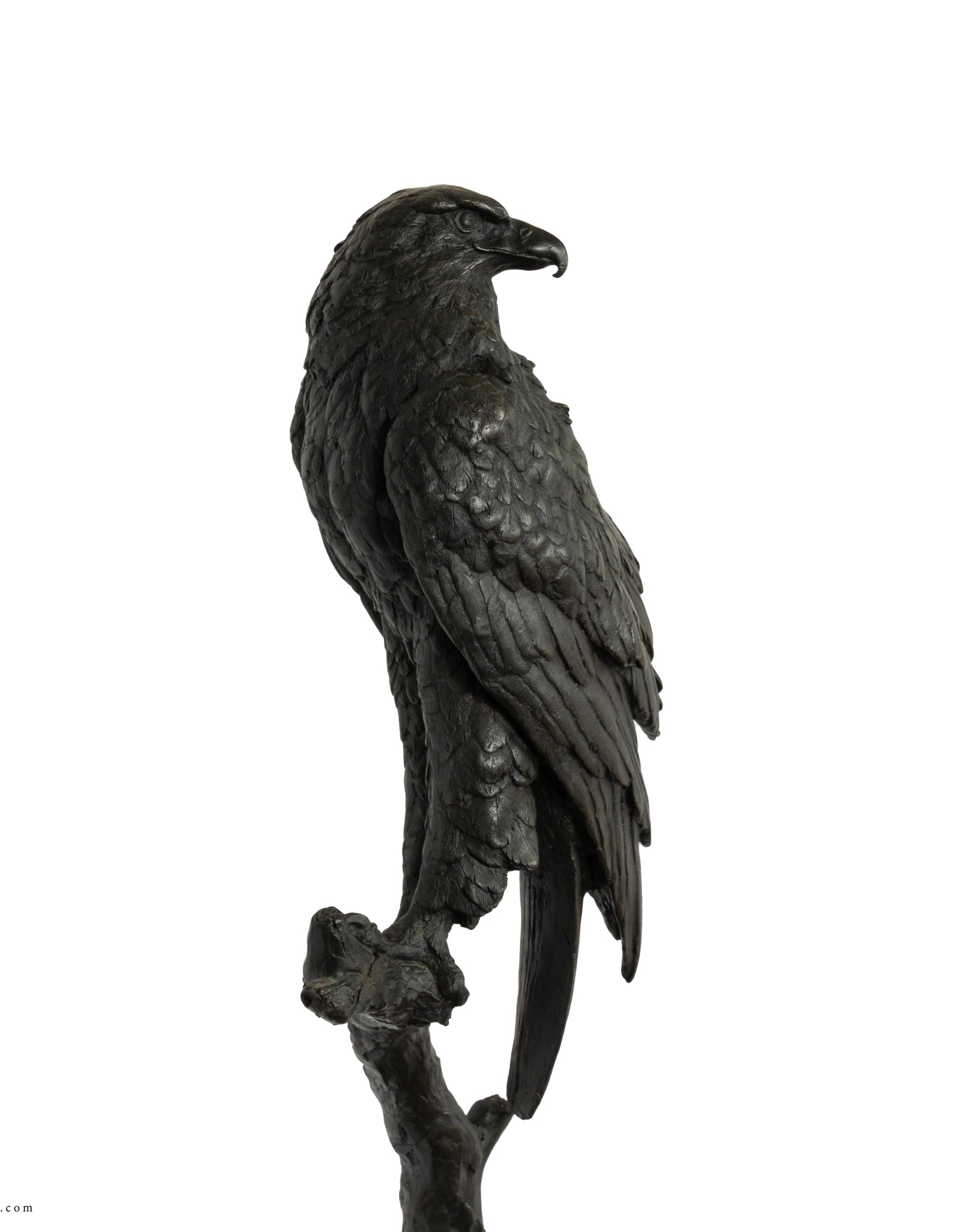 Falcon bronze on tree trunk Statue