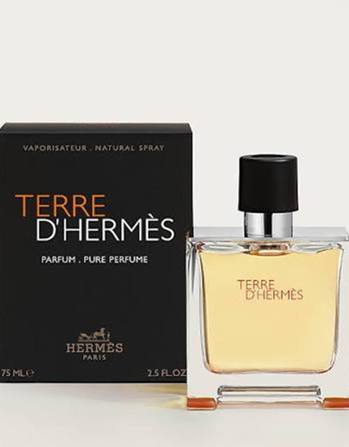 تحميل الصورة إلى عارض المعرض، HERMES TERRE DHERMES MEN'S 2.5-OUNCE PARFUM SPRAY
