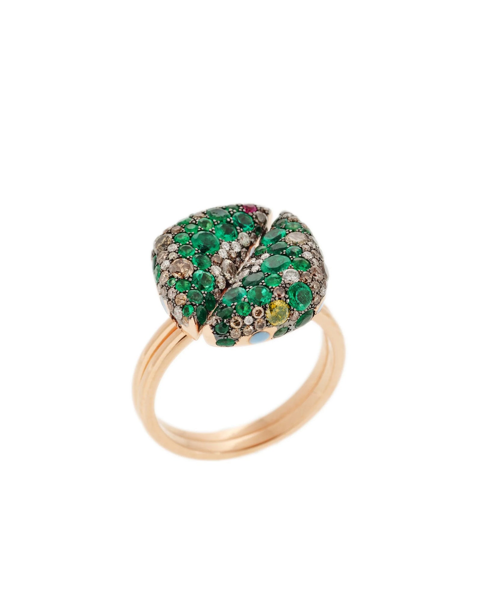 The Garden Ring حديقة