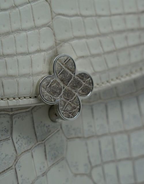 Load image into Gallery viewer, Tiffany 21 Himalaya crocodile leather handbag
