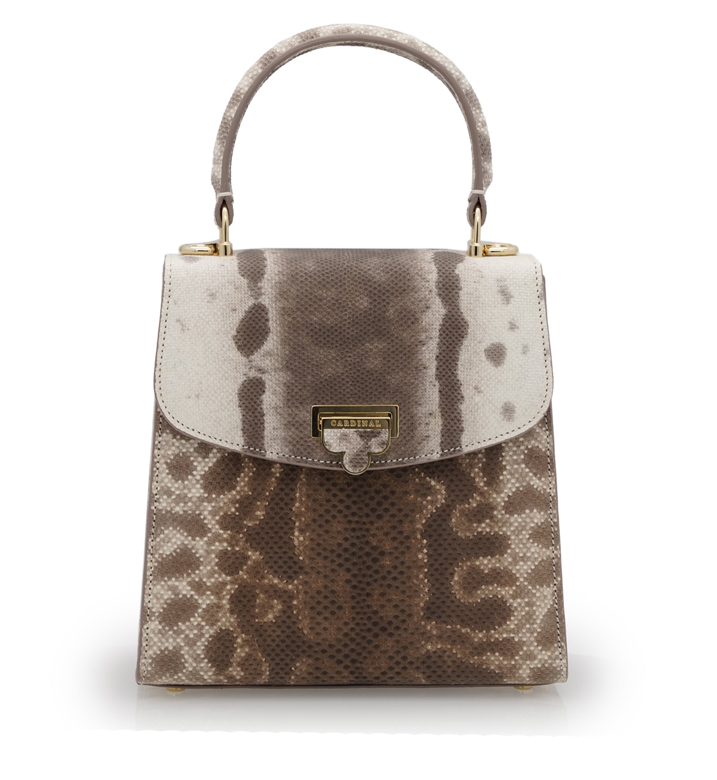 Tiffany Brown Karung leather handbag