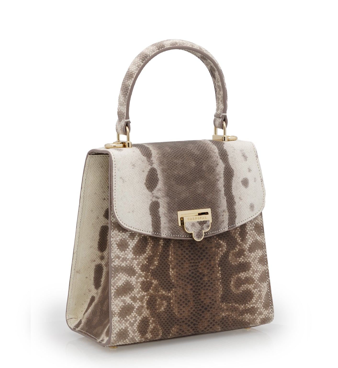 Tiffany Brown Karung leather handbag