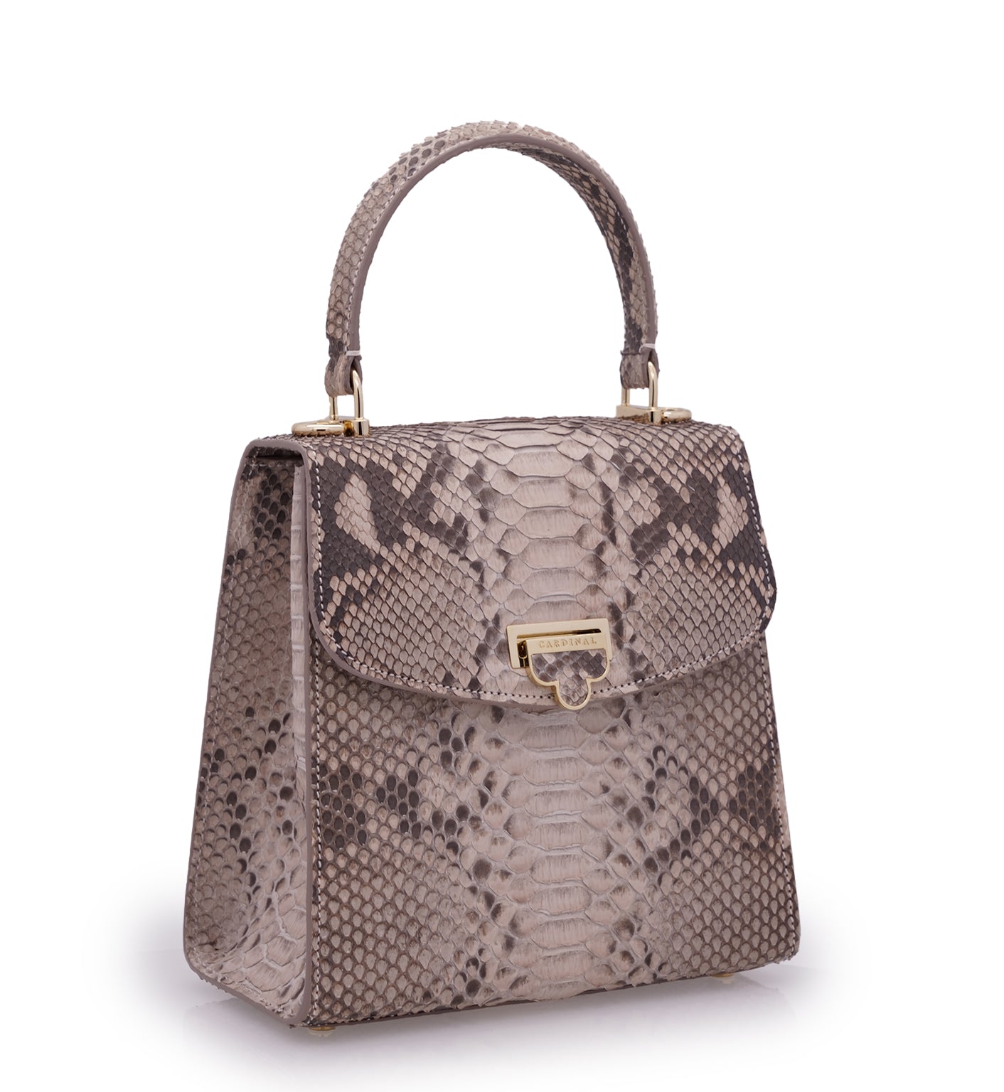 Tiffany Python leather handbag