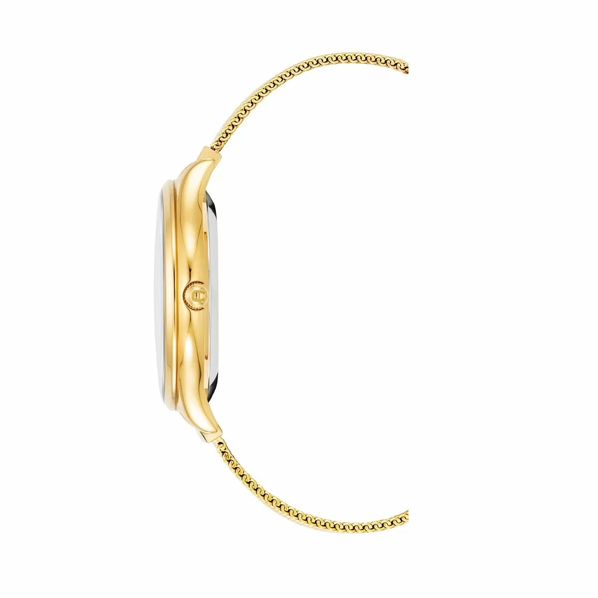 Aigner VELLETRI ladies watch stainless steel gold