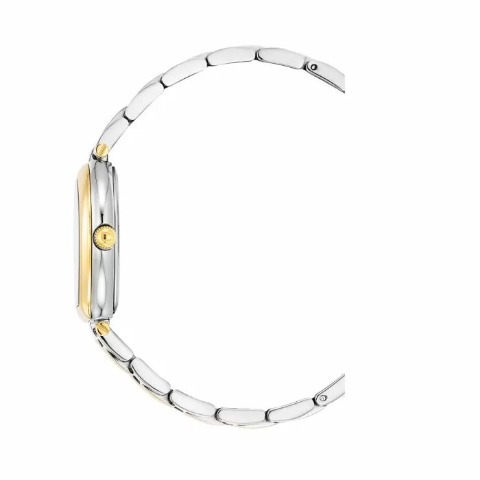 Aigner TRANI ladies watch stainless steel gold , Green