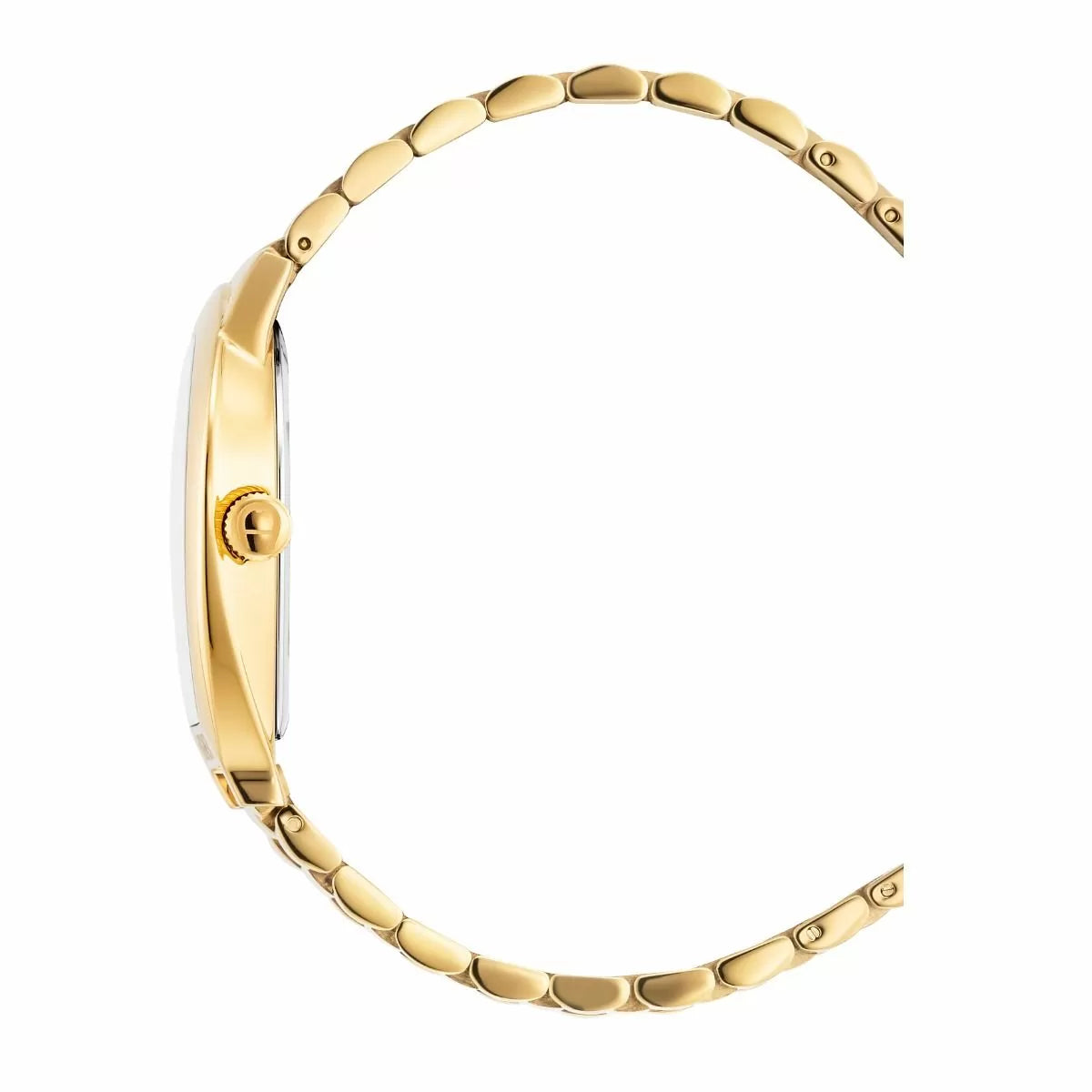 Aigner ROVIGO men watch stainless steel gold with white