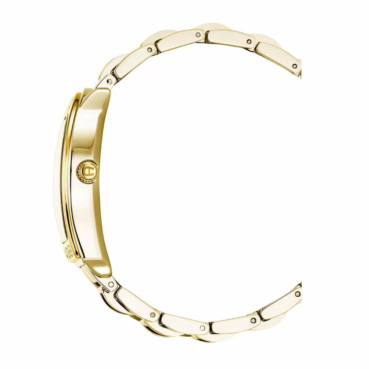 Aigner VERONA DUE men watch stainless steel gold