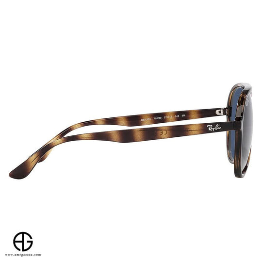 Sunglasses RAY BAN Timeless Appeal Unisex 361