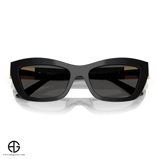 Sunglasses JIMMY CHOO Sleek Finish Woman 37