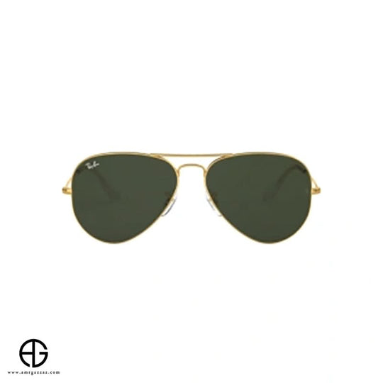 Sunglasses RAY BAN Everyday Elegance Unisex 196
