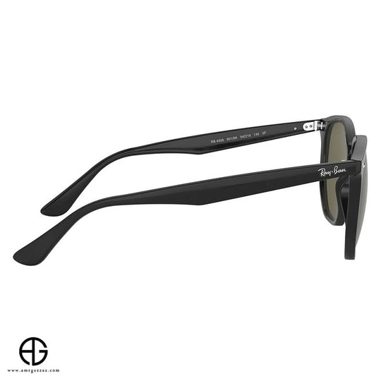 Sunglasses RAY BAN Timeless Appeal Unisex 203