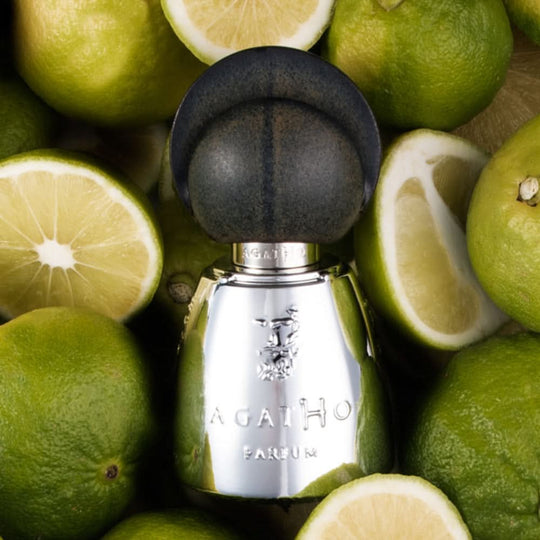 عطر أجاثو جياردينو دي إركول 100 مل للجنسين