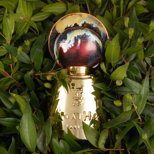 عطر أجاثو كاستيامانتي 100 مل للجنسين