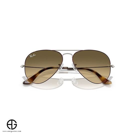 Sunglasses RAY BAN Everyday Elegance Unisex 194
