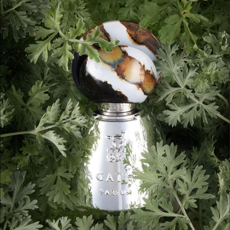 AmrGazzaz عمرو_قزاز LuxuryPerfumes عطور_فاخرة AuthenticPerfume عطور_أصلية NicheFragrance عطور_نيش PerfumeKSA عطور_السعودية ShopOnlineKSA تسوق_أونلاين LuxuryShopping متجر_عطور