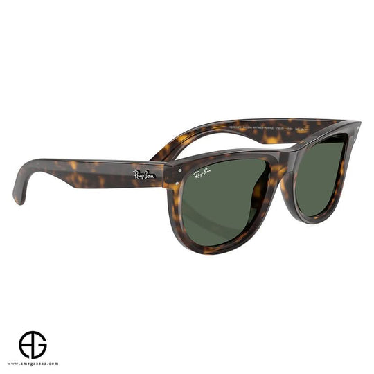 Sunglasses RAY BAN Everyday Elegance Unisex 197