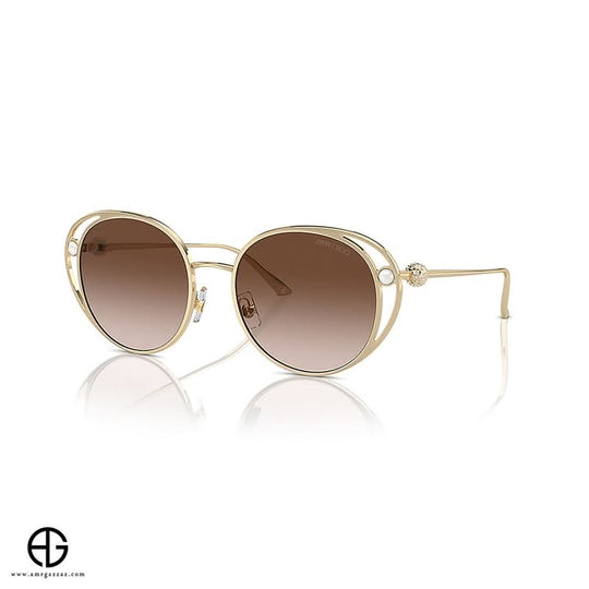 Sunglasses JIMMY CHOO Timeless Appeal Woman 2